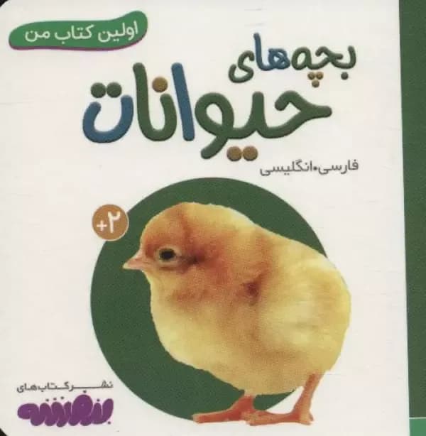 لباسهای من (اولین کتاب من)،(2زبانه)