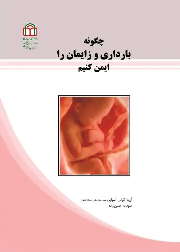 چگونه بارداری و زایمان را ایمن کنیم